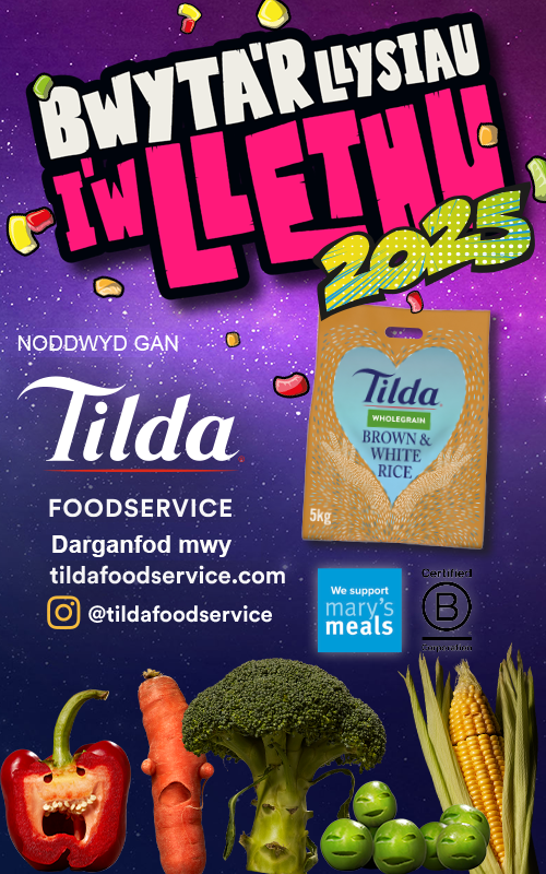 wlsh-tildabanner-500x800